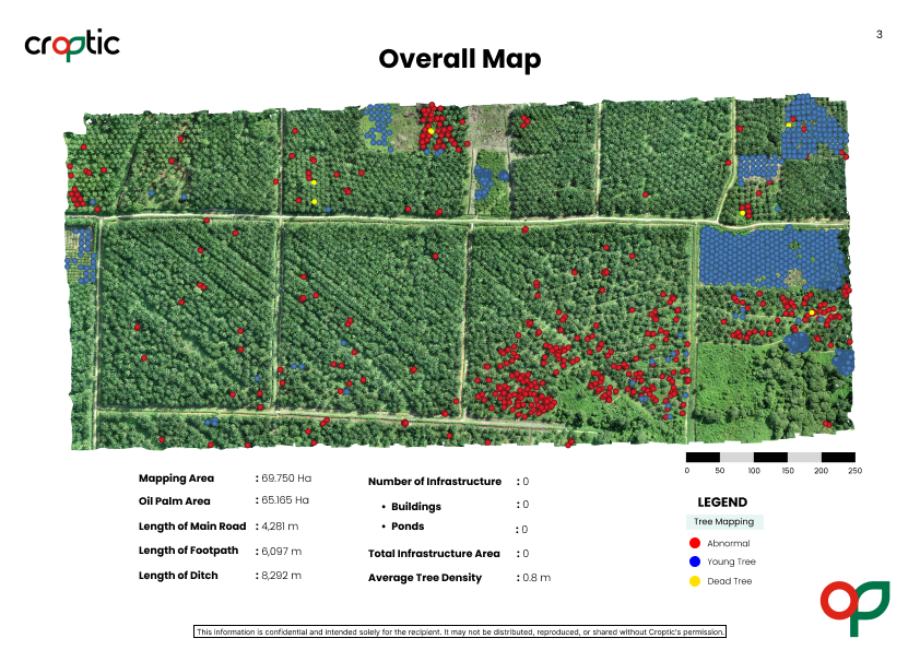 Contoh report analisis